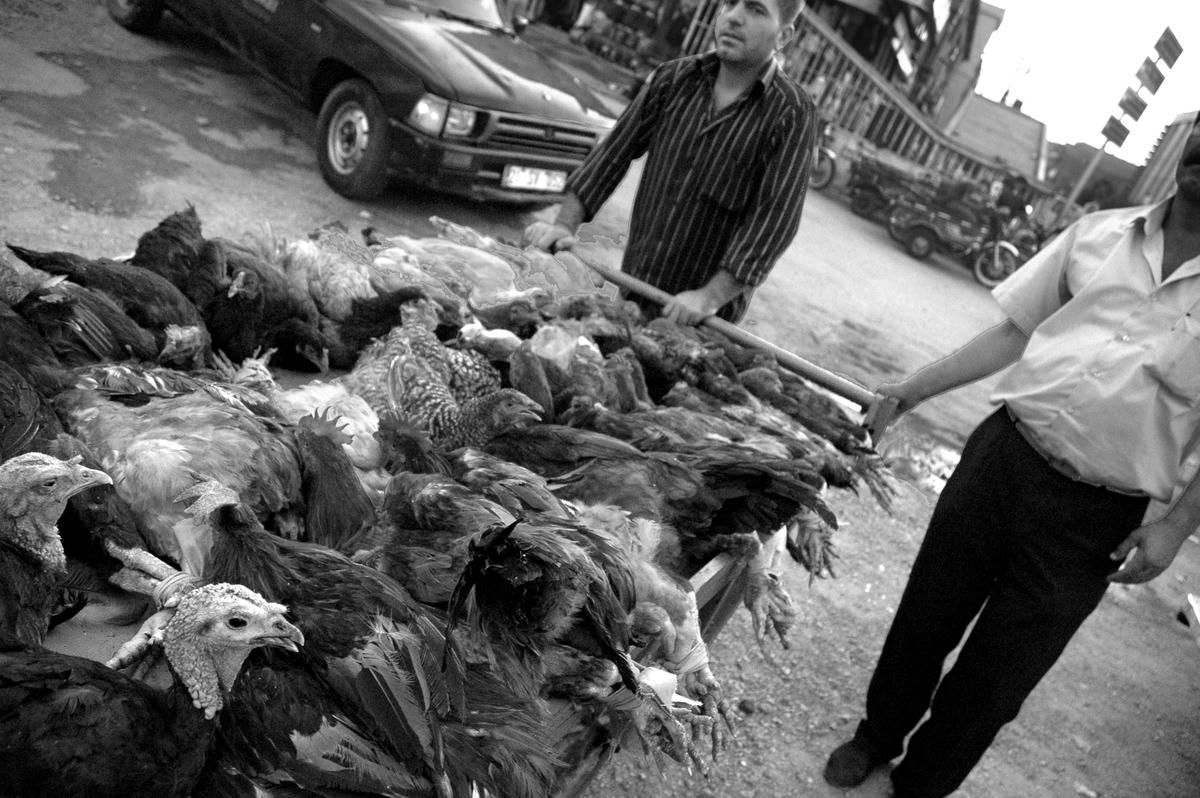 Seyyar satıcılar/lensler konuşabilseydi